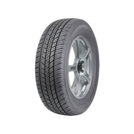 Prenumatici Estivi DUNLOP G.TREK ST 30 (M&S) DUNLOP 225 60 R18 100H